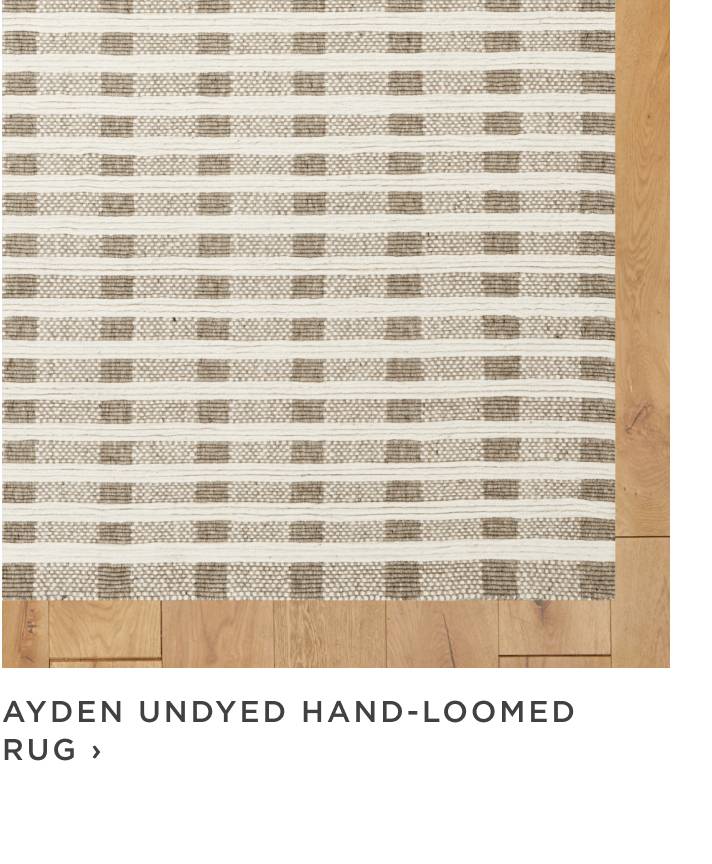 Ayden Rug