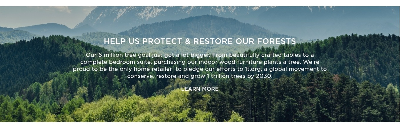 Help Us Protect & Restore Our Forests