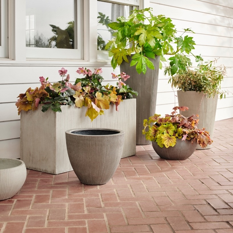 Spotlight on Our Planter Shop
