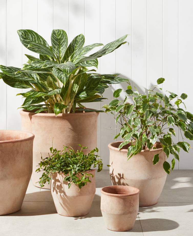 Outdoor Planters