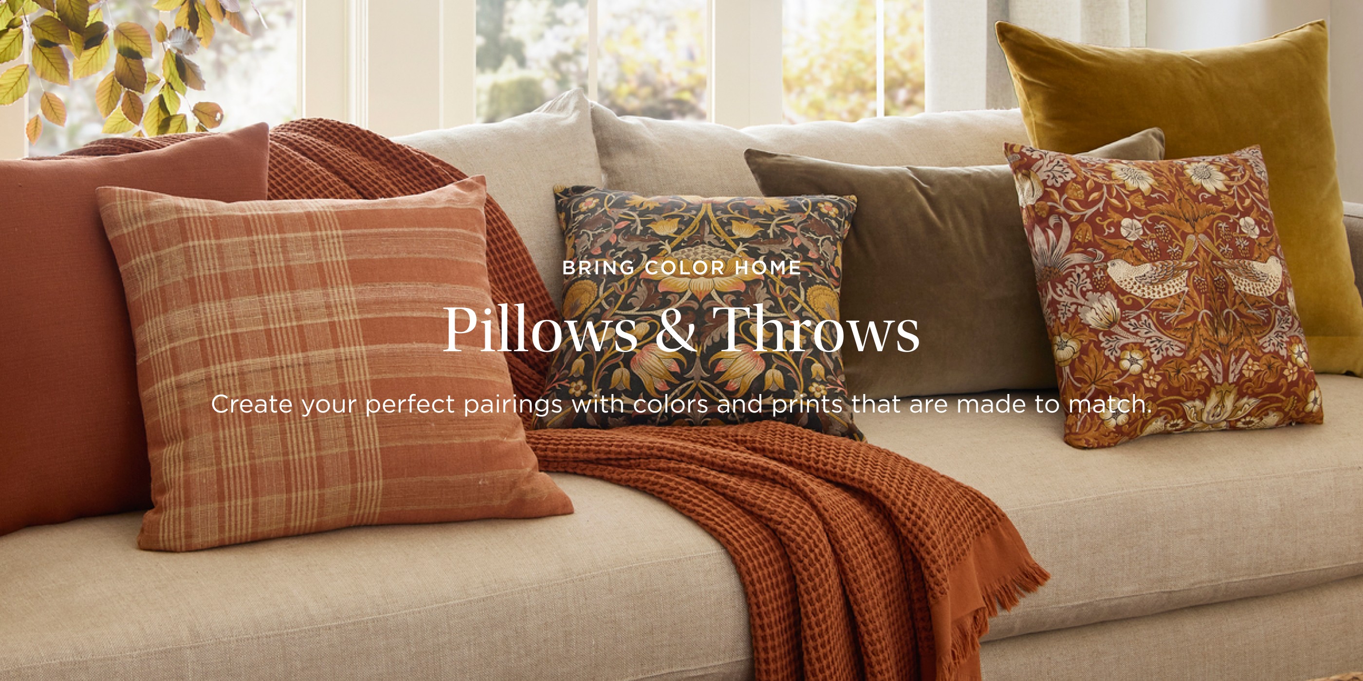 Bring Color Home: Pillows & Throws