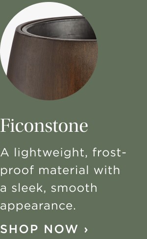 ficonstone