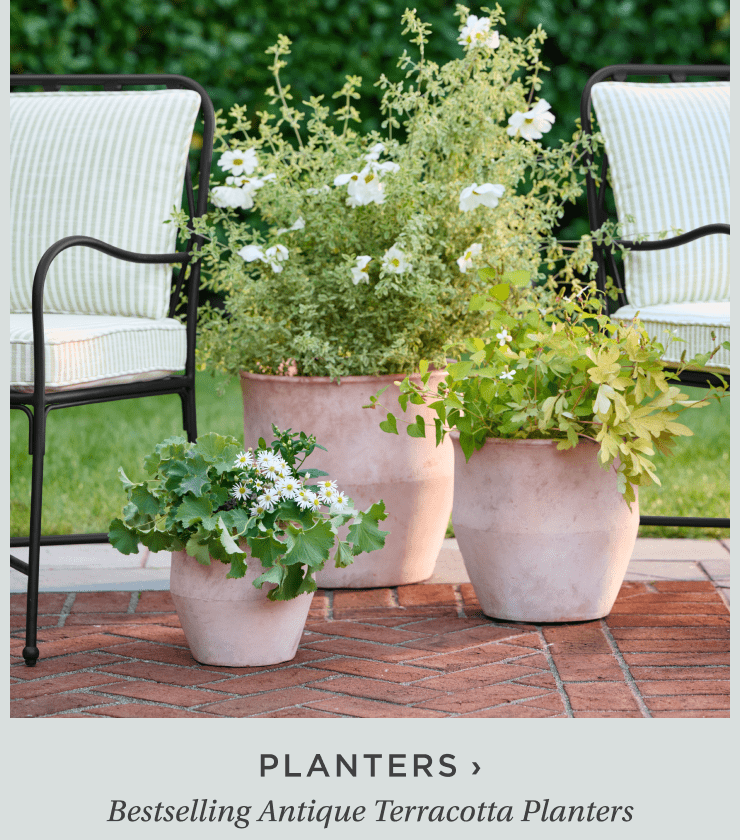 new planters