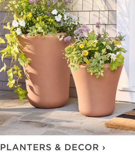 Planters & Decor