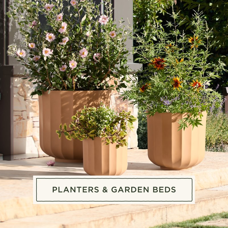 Planters & Garden Beds