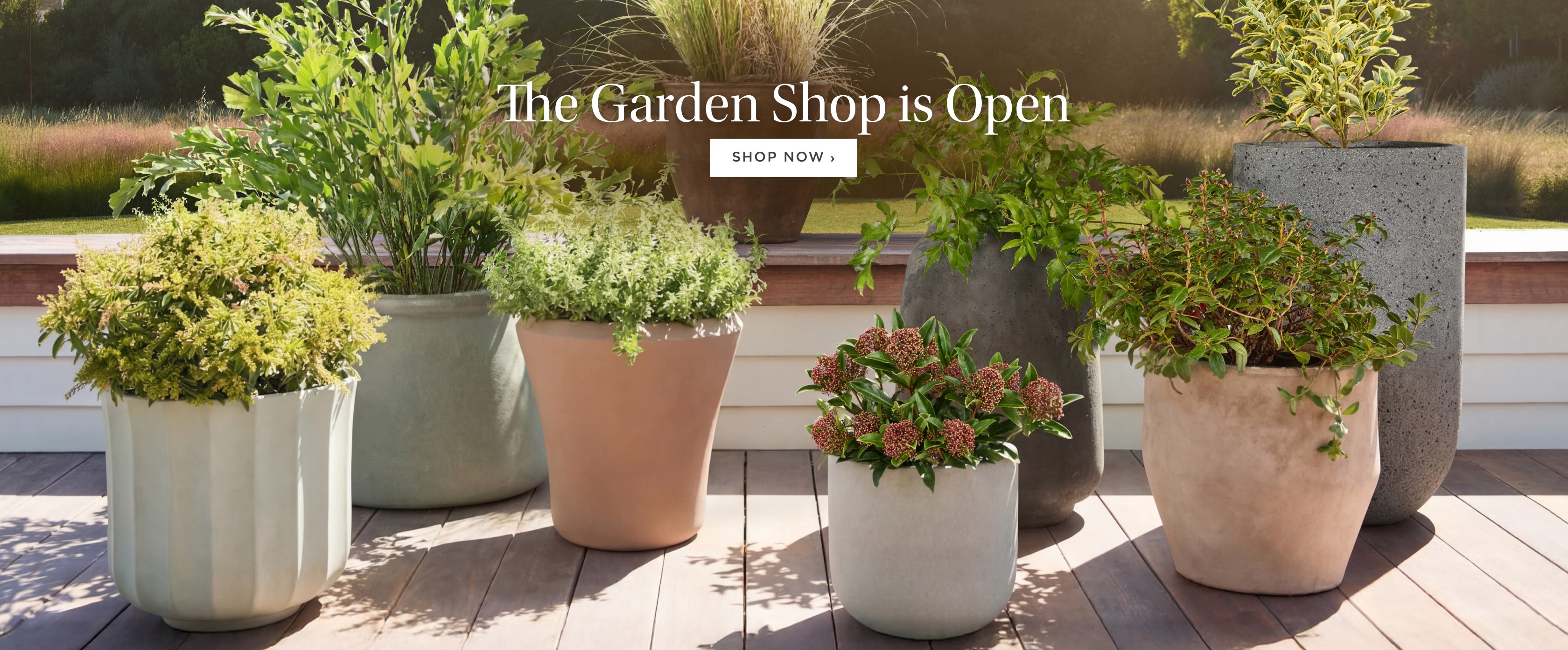 The Garden Shop is Open. Shop Now. The Garden Shop is Open. Shop Now.