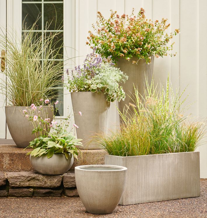 Modern Textured Rectangle Planter Rejuvenation