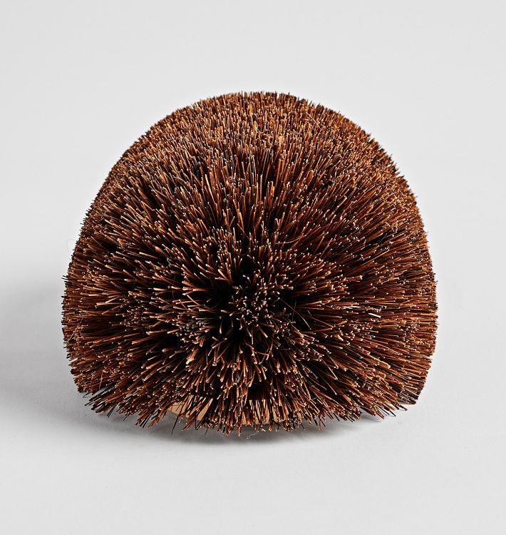 Hedgehog Boot Scraper Rejuvenation