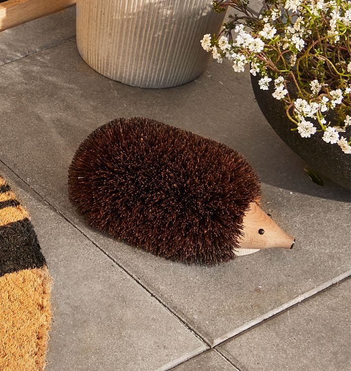 Hedgehog Boot Scraper Rejuvenation