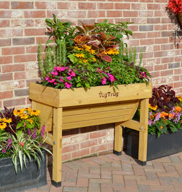 VegTrug Wall Hugger Raised Garden Bed Rejuvenation