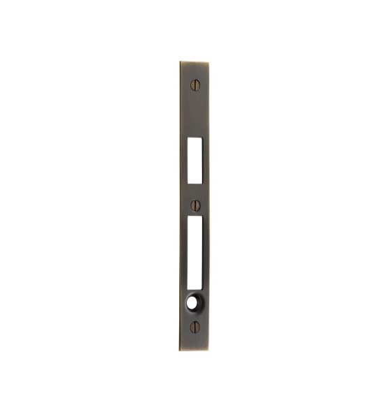 Pocket Door Faceplate for Privacy Mortise Rejuvenation