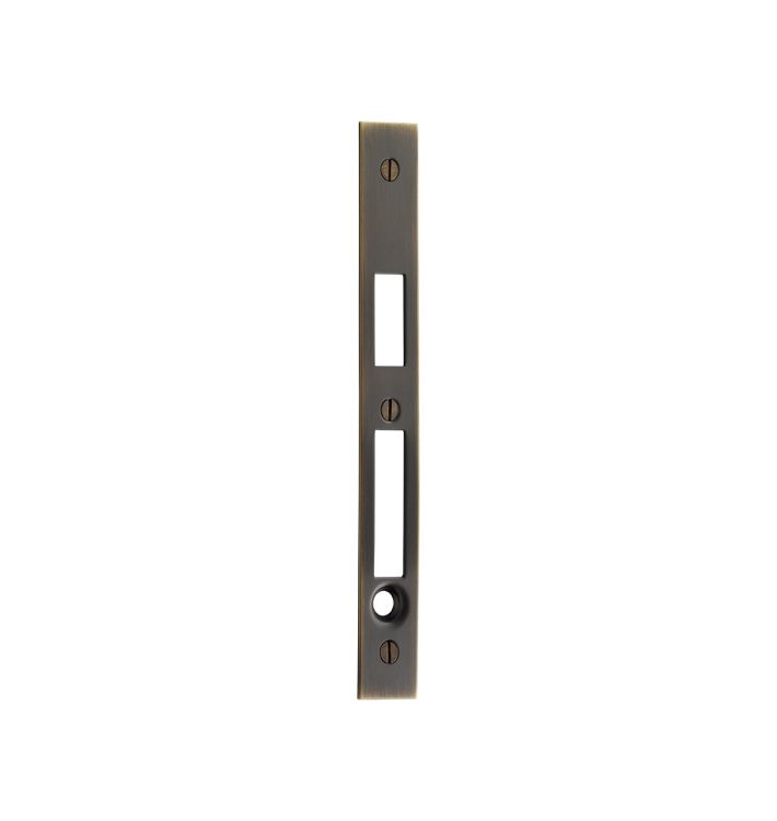 Pocket Door Faceplate for Privacy Mortise Rejuvenation