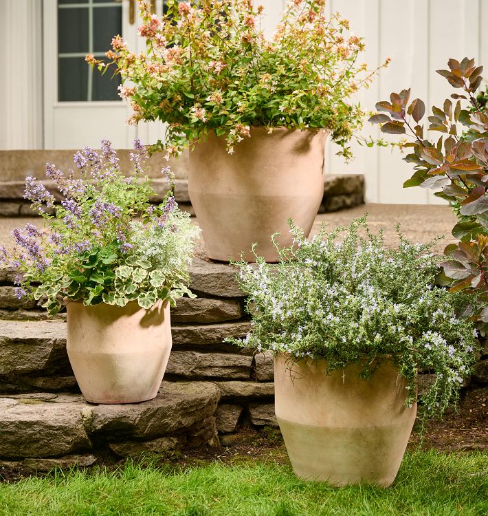 Antique Terracotta Planter Rejuvenation