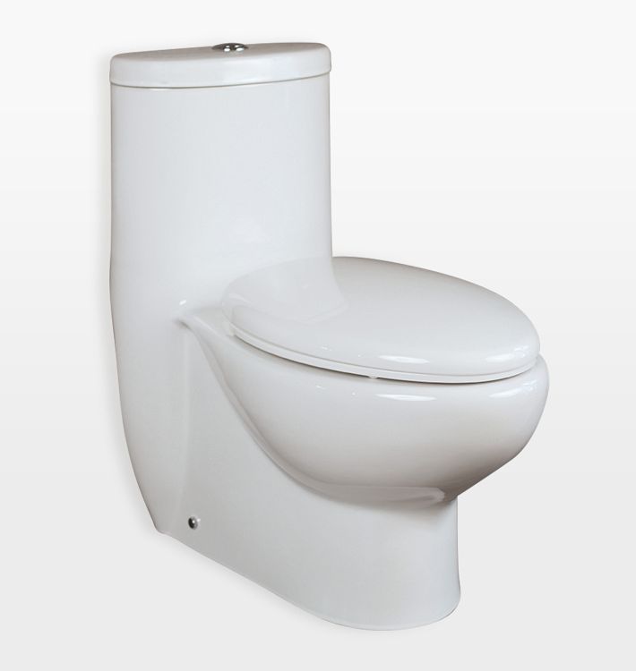 Armosa Floor Standing Toilet with dual flush Rejuvenation