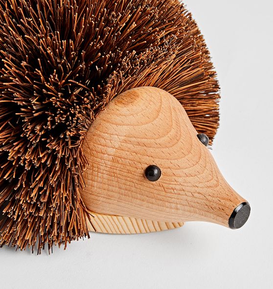 Hedgehog Boot Scraper Rejuvenation