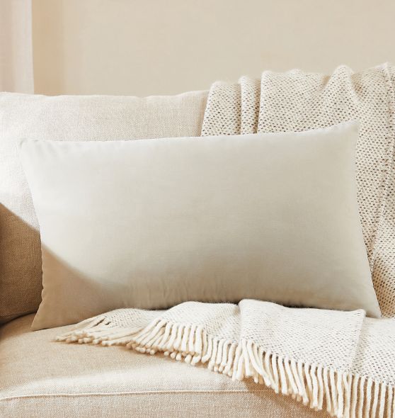 Italian Velvet Pillow Cover Rejuvenation