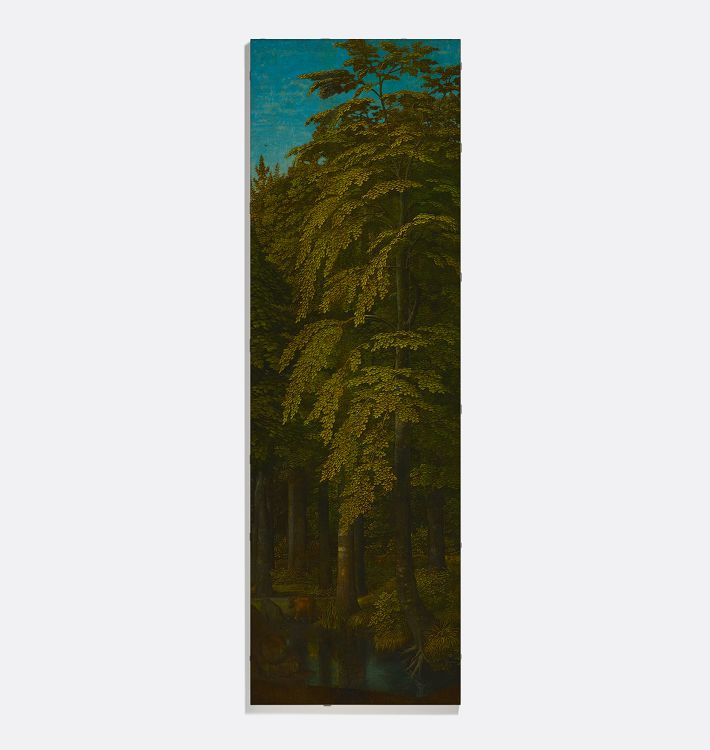 Forest Scene I Reproduction Wall Art Print