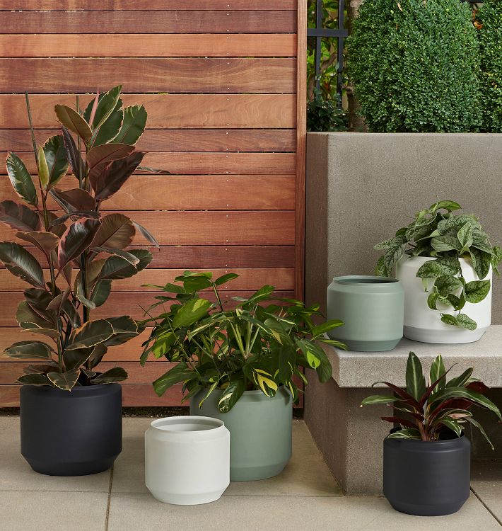 why choose metal pots for indoor plants, by Intern