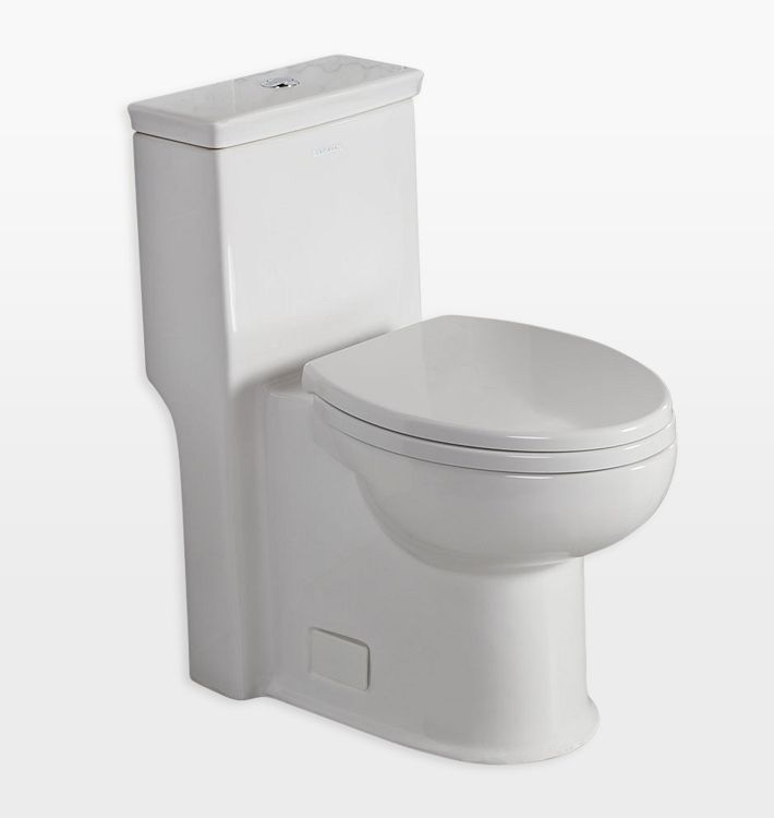 Trenta Floor Standing Toilet with dual flush