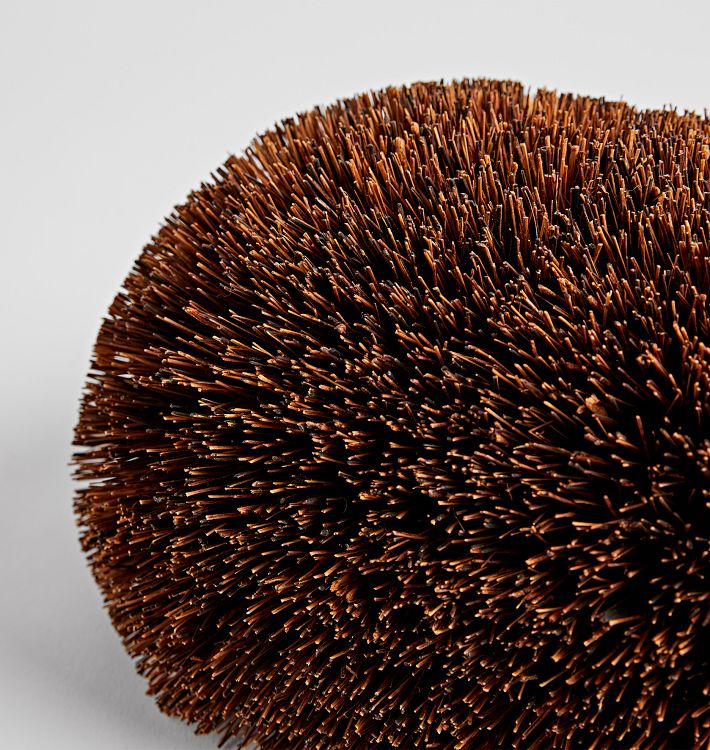 Hedgehog boot outlet brush replacement