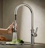Davoli Pull Down Kitchen Faucet with Squeeze Sprayer