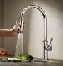 Davoli Pull Down Kitchen Faucet with Squeeze Sprayer