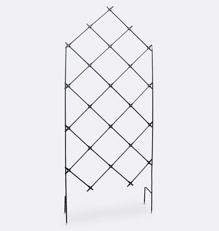 Free Standing Lattice Iron Trellis