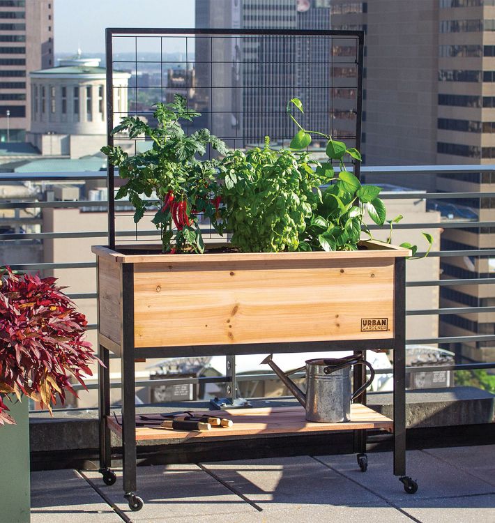 Cedar Raised Garden Bed With Trellis | Rejuvenation