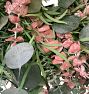 Cranberry Eucalyptus Dried Wreath