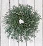 Evergreen Woods Dried Wreath