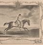 Race Horse With Jockey II Framed Reproduction Wall Art Print