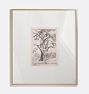 Oak Framed Reproduction Wall Art Print