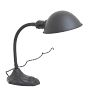 Vintage Gooseneck Desk Lamp