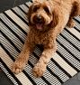 Dewey Indoor/Outdoor Flatweave Rug