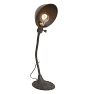 Vintage Gooseneck Desk Lamp with Art Nouveau Base