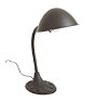 Vintage Gooseneck Desk Lamp with Art Nouveau Base