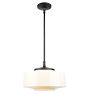 Eastmoreland 8&quot; Fitter LED Pendant