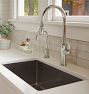 Davoli Pull Down Faucet