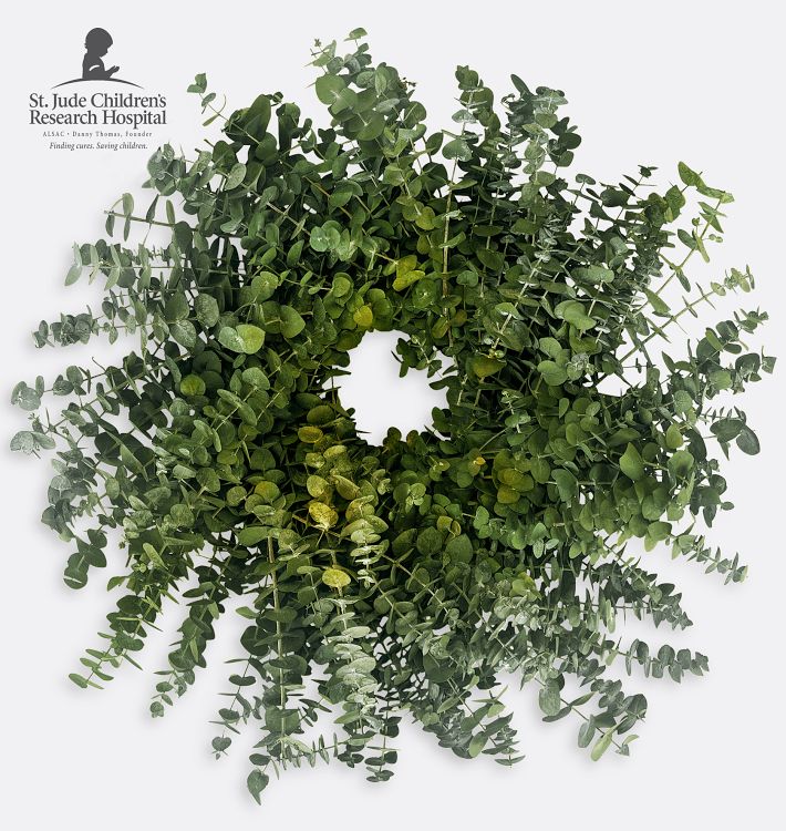 Green Eucalyptus Dried Wreath