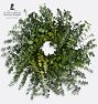 Green Eucalyptus Dried Wreath