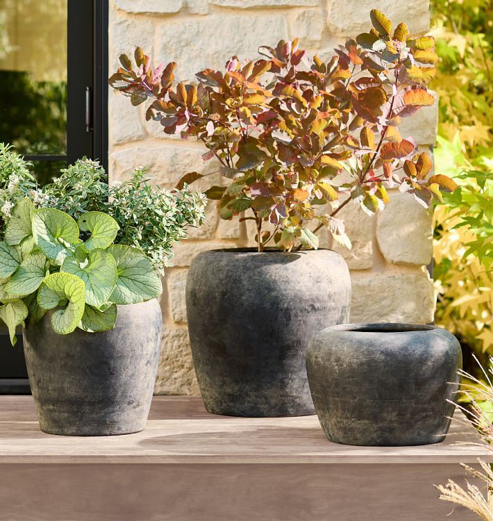 Lyre Terracotta Planters