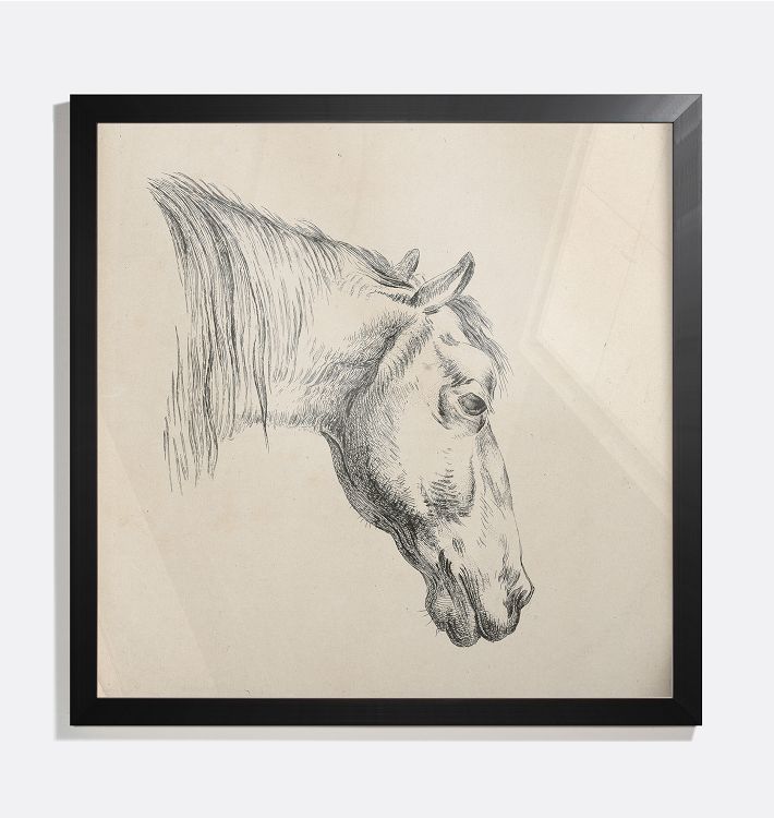 Head of a Horse Framed Reproduction Wall Art Print 14"x14" by Reinierus Albertus Ludovicus baron van Isendoorn à Blois