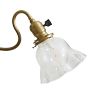 Antique Electric 2-Arm Pendant with Turnkey Sockets