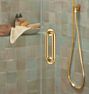 Topher Shower Door Pull