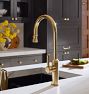 Davoli Pull Down Faucet