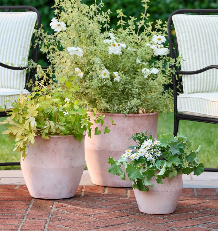 Antique Terracotta Planters | Unique Garden Decor