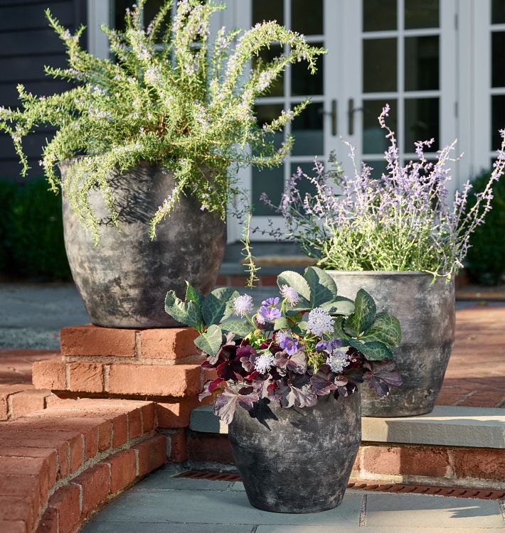Antique Terracotta Planters | Unique Garden Decor