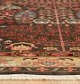 Alderwood Hand-Knotted Rug
