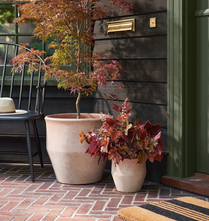 Antique Terracotta Planters | Unique Garden Decor
