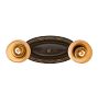 Vintage Classical Revival 2-Light Loop-to-Loop Flush Mount with Painted Shades